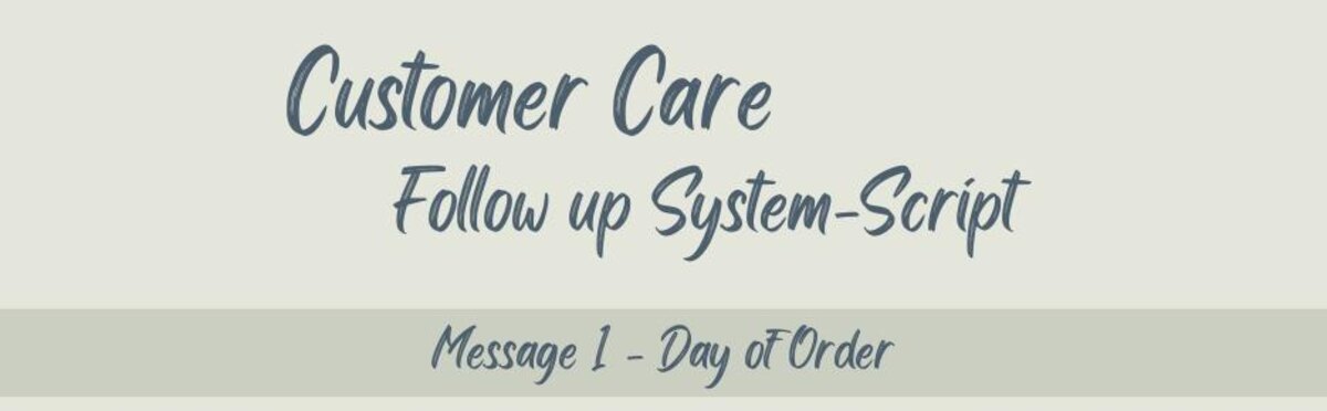 Preview of a structured customer care follow-up system