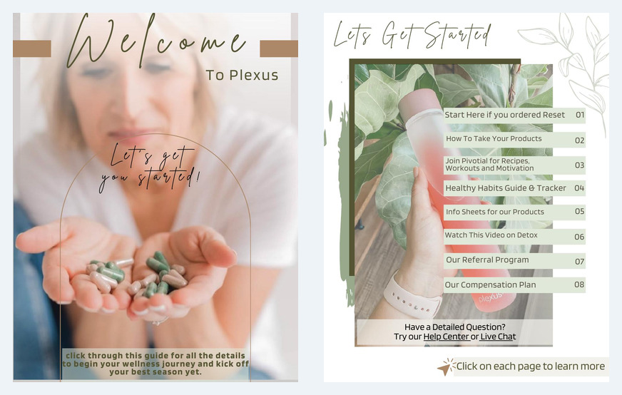 Selected pages from an interactive client welcome guide